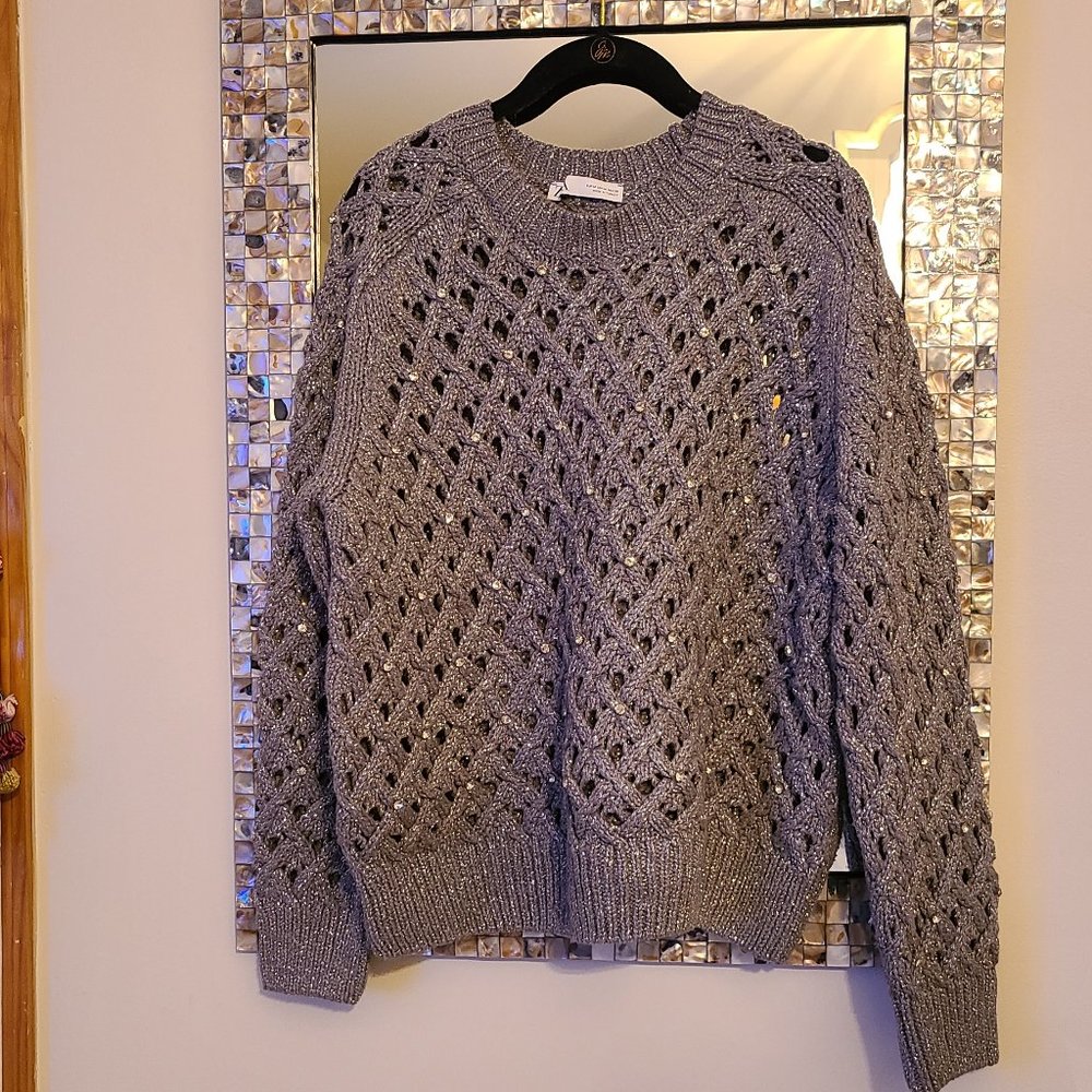 Zara sparkle and Rhinestone Sweater